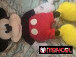 Mickey y Minnie