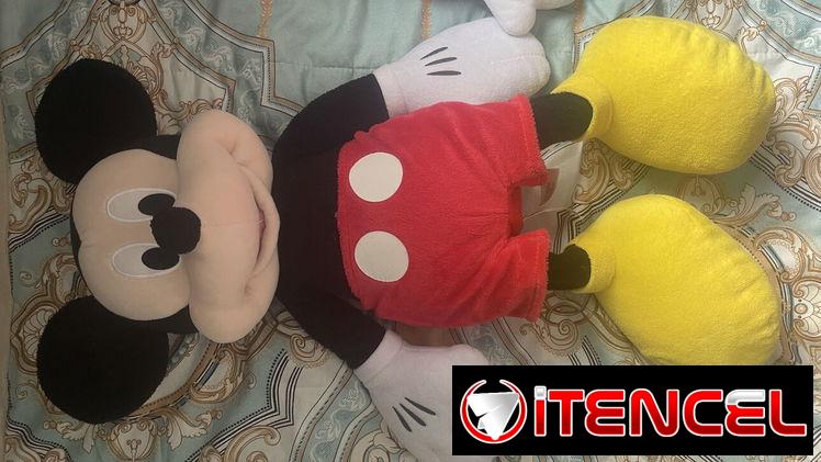 Mickey y Minnie