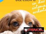 VermiPlex Puppy (antiparasitario interno en suspensión oral)