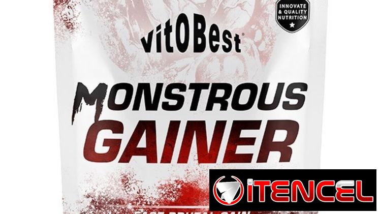 Mass Gainer disponible ‼️