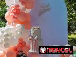 Decoración y organización de eventos y fiestas de todo tipo