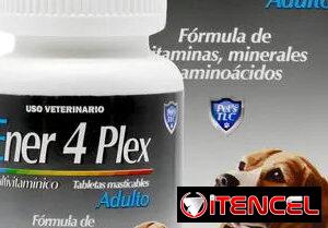 8dae792510ed790dfefe101e73e318637753ec012e19e3a04d03767959679f87