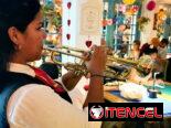 Mariachis para sus fiestas