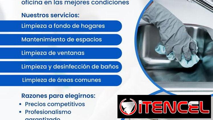 Limpieza profunda profesional