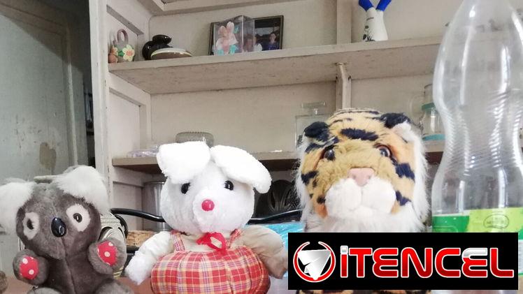 Peluches