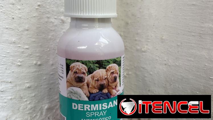 Spray dermisan