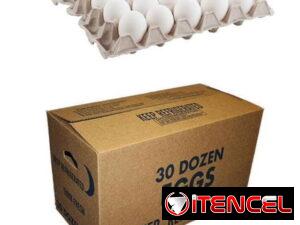8efc4ab96ca512719c29eb02b3a069a7d96a5a3f7dc2dcd8a10ddaf13d134cb4-1