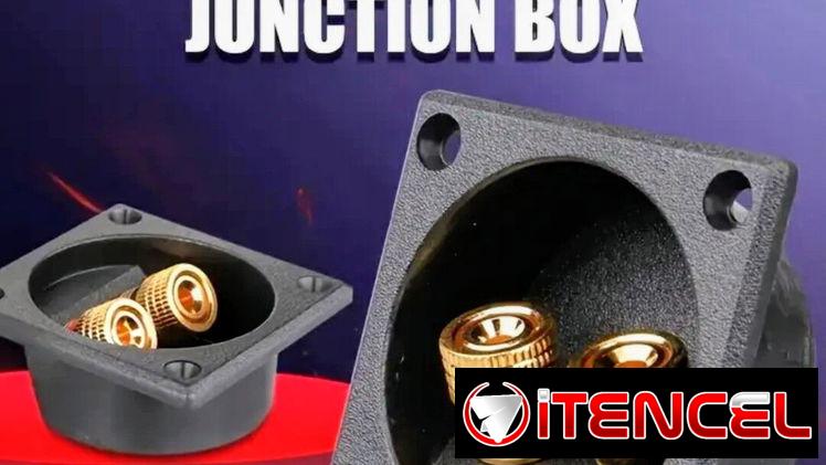 PAREJA DE CONECTORES TRASEROS PARA ALTAVOCES