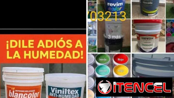 Pintura calidad 54703213