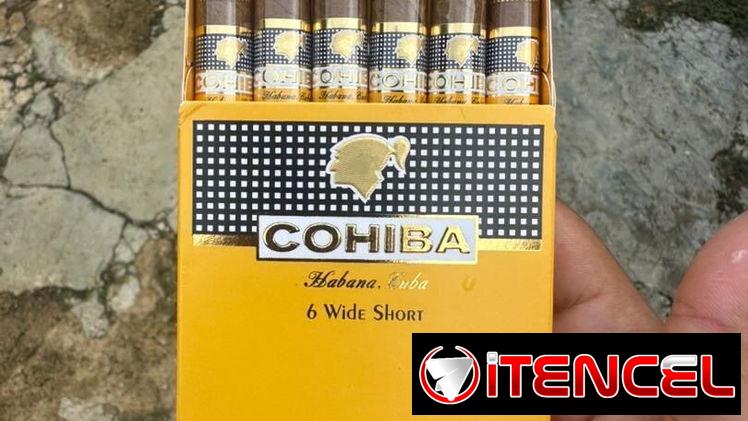Tabaquitos cohibas cajitas de 6 y 10 unidades