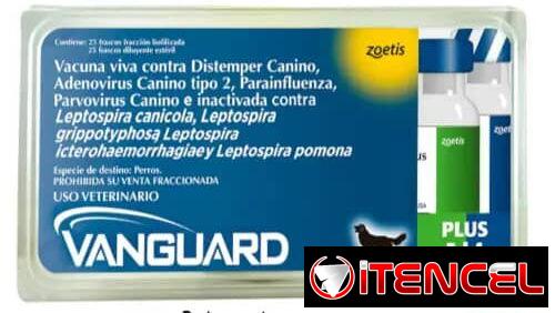 💉PENTAVALENTE VANGUARD NUEVA