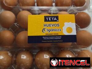 8fa47276de279d115299e6c0f9c869de7095413fc11b66be759a1ccf0550b203-2