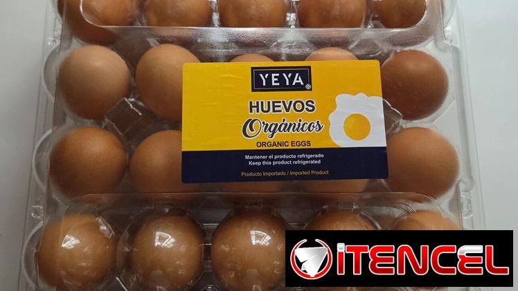 HUEVOS ORGÁNICOS CRIOLLOS