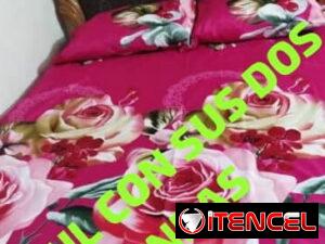 8fb680d7cb8e775384d08d61208c30d4838d495447e3849e7a0ff4b809a0ef33