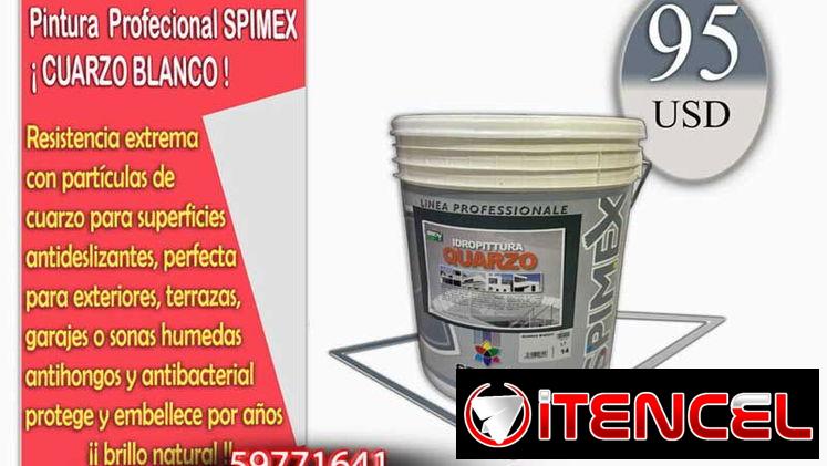 Pinturas Profesionales 🎨 Pinturas Profesionales de Alta Calidad $95