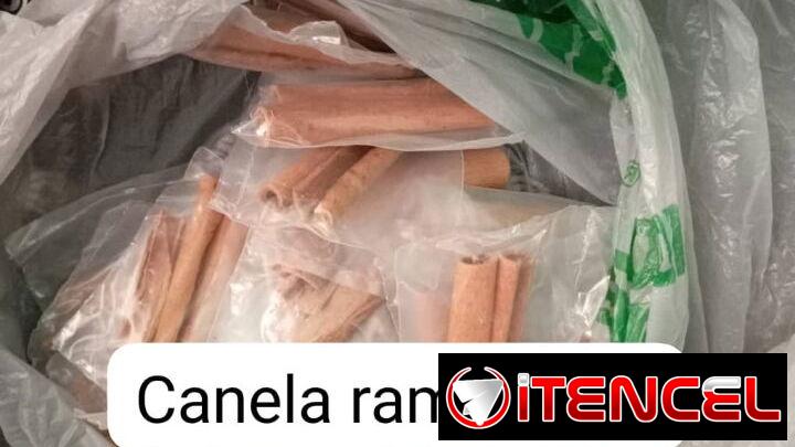 Canela en rama