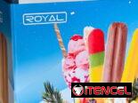 NEVERA EXHIBIDORA  ROYAL DE 11 PIES HELADERA 560 USD Y DOMICILIO INCLUIDO