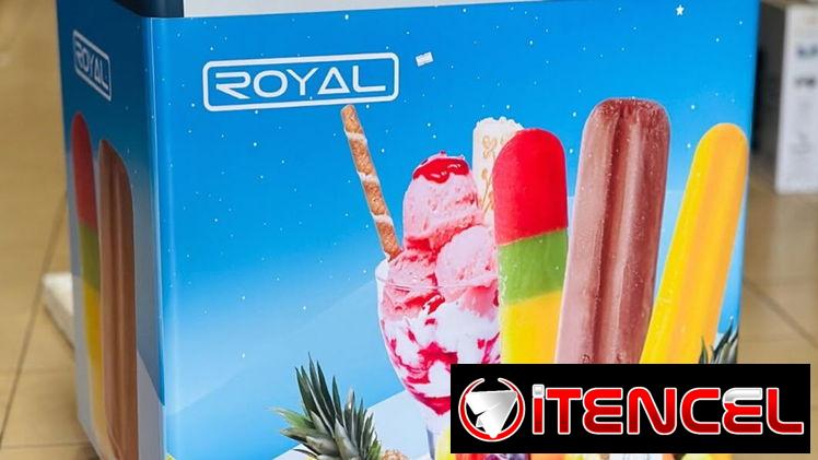 NEVERA EXHIBIDORA  ROYAL DE 11 PIES HELADERA 560 USD Y DOMICILIO INCLUIDO