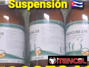 92d8145f8192744020193df4f83264a0195269ab2410a33bb27cae9842c02035