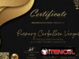 Curso internacional de peluquería