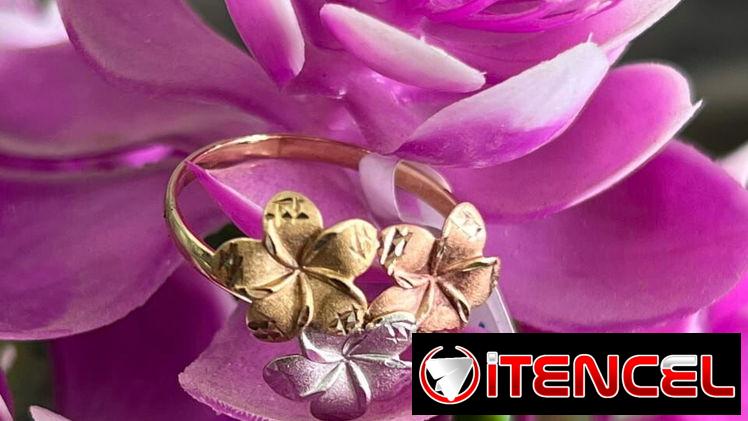 Personalizacion de anillos