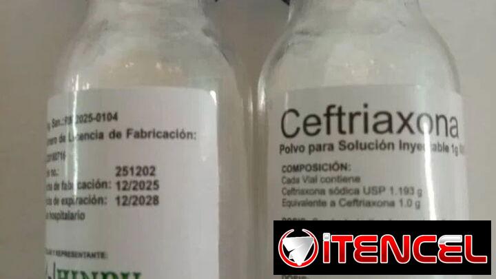 Venta de Rosefin . Cada bulbo en 1500 pesos