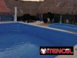 Pintura de piscina