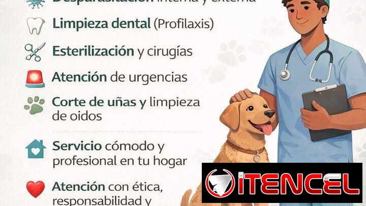 🚨🐱🩺¡VETERINARIO A DOMICILIO!🐶🐾🚨
