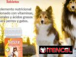 Vitaminas para perros