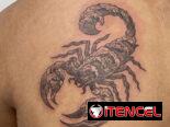TATTOO/TATUAJES🎴🩸