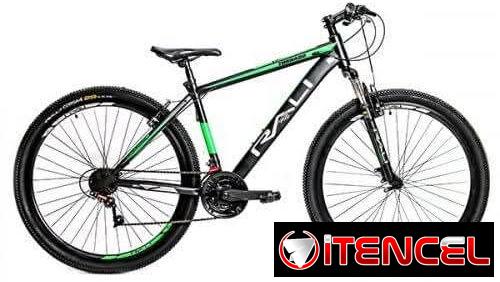 Bicicleta Raly medida 29