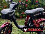 BICIMOTO Eléctrica Mizusuki Grillo