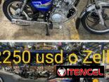 MOTOS Super GATO
