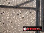 Bases de split de hierro en buen precio interesados escribir o llamar al 53051474