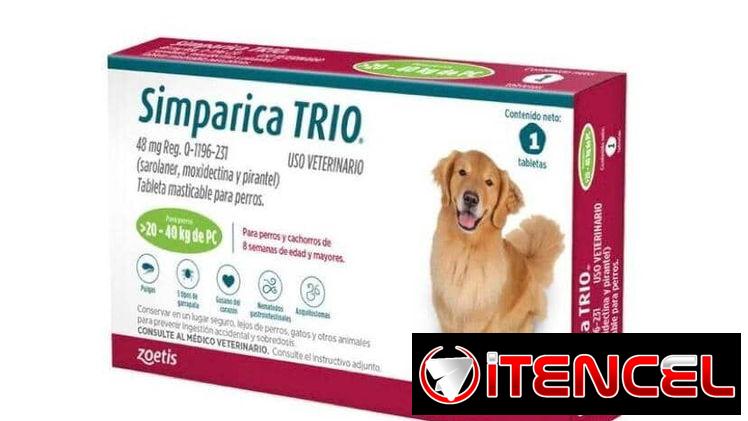 Tienda de Mascotas “Vanipets 🫀🐾”