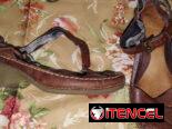 Zapatos y chancletas