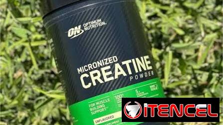 CREATINA ON 120 SERVICIOS