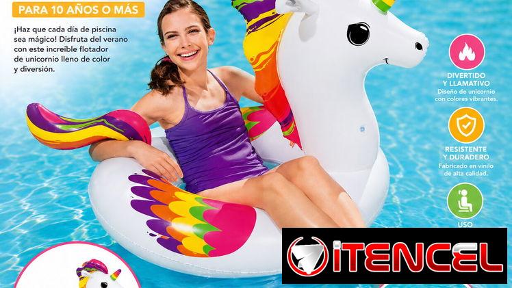 Flotador de unicornio (EyH)