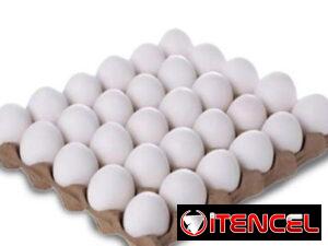 9880cadaee42bf6dbc3807e6526bafae69afba236f5aac964bcdbec04ea6afb7