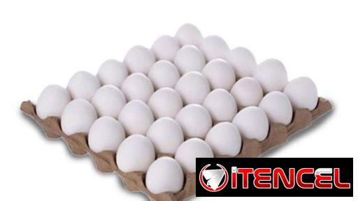 Carton de huevos