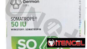 98941035ff8c94de2cde38a57de757f1ac2c2c49357b8acbb6303a76c26e540d