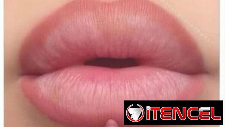 ✨️Lápiz Delineador de Labios 01 Cool Mauve✨️