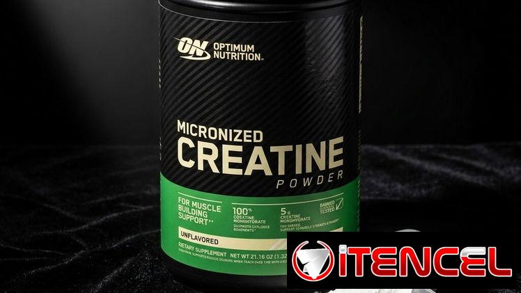Creatina ON 120 servicios.