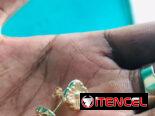 ARETES, PULSOS, DORMILONAS, ESCLAVAS,CADENAD Y DIJES
