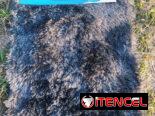 ☕️Alfombras Peludas/10 usd☕️