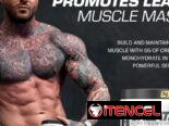 CREATINA MONOHIDRATADA CELLUCOR