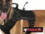Artículos para perros