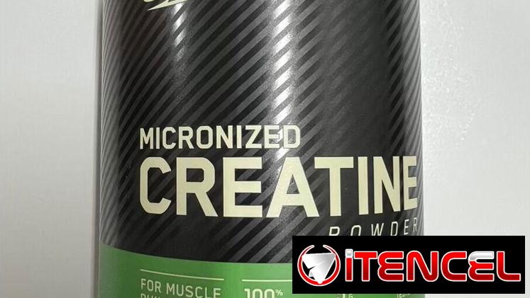 Creatina ON de 120 servicios