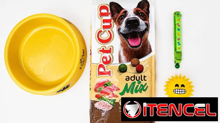 Combo Especial para perros
