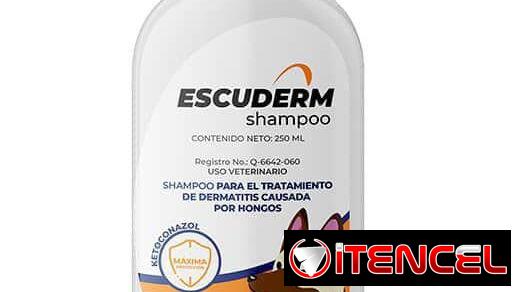Shampoo para perros Ketoconazol Clorhexidina
